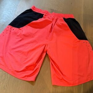 Nike Dri Fit Shorts